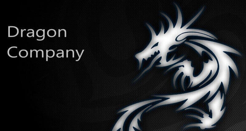 Dragon Startup Spark of Dragon Company_Get in Startup_(1)
