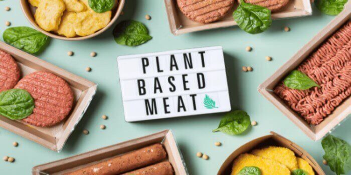 Plant based Meat India - Explore the Top Companies-Get in startup-1