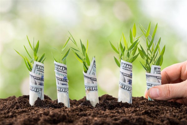 Pre-seed Funding For Startups - Everything to know about Pre-seed Funding and How Does it Work?-1-getinstartup