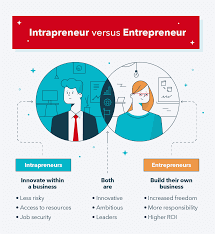 pEntrepreneurship and Intrapreneurship - Difference between Entrepreneur and Intrapreneur-3-getinstartuo