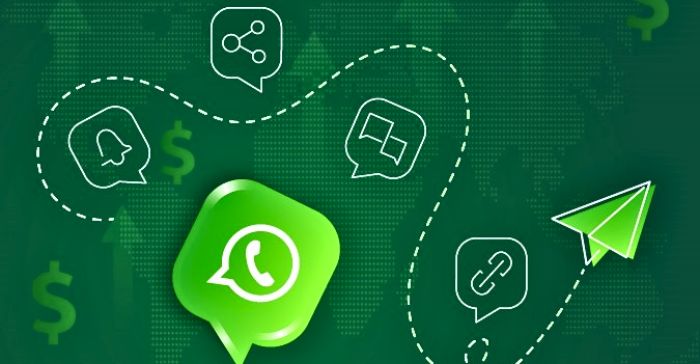 WhatsApp Advertising Campaign How WhatsApp Marketing in India is Growing -4-Getinstartup 