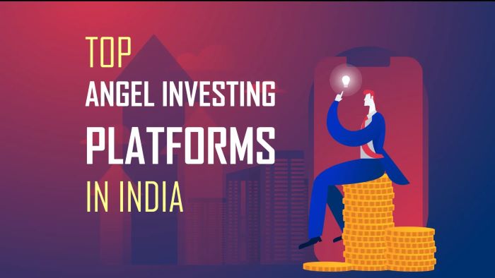 Best Angel Investing Platforms in India A Must Read-1-getinstartup
