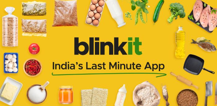 Blinkit Business Model and Profitable Blinkit Franchise Opportunities-1-getinstartup
