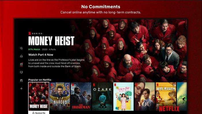 Netflix Business Model Decoding How Does Netflix Make Money-3-getinstartup